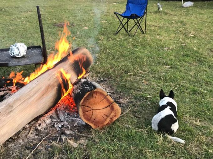 DOWNUNDER FARMSTAYS